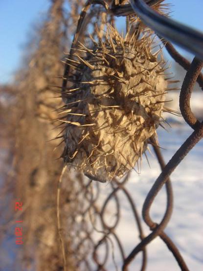 Kliknij na zdjęcie, żeby zobaczyć w pełnych wymiarach