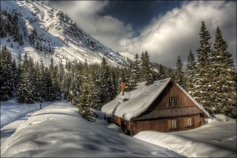 Kliknij na zdjęcie, żeby zobaczyć w pełnych wymiarach