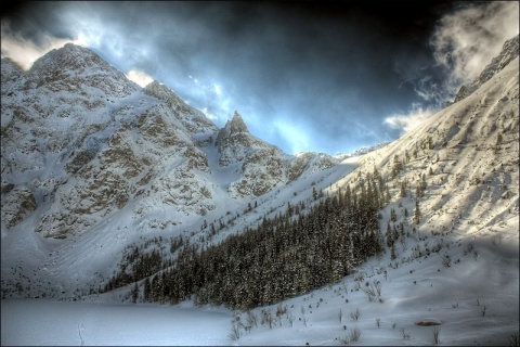 Kliknij na zdjęcie, żeby zobaczyć w pełnych wymiarach