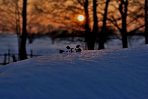 Kliknij na zdjęcie, żeby zobaczyć w pełnych wymiarach