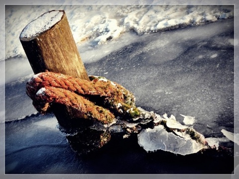 Kliknij na zdjęcie, żeby zobaczyć w pełnych wymiarach