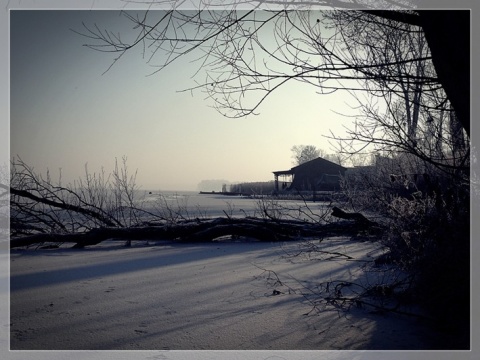 Kliknij na zdjęcie, żeby zobaczyć w pełnych wymiarach