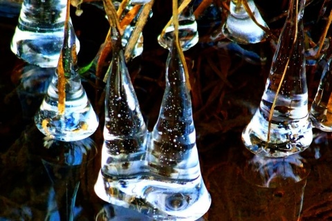 Kliknij na zdjęcie, żeby zobaczyć w pełnych wymiarach