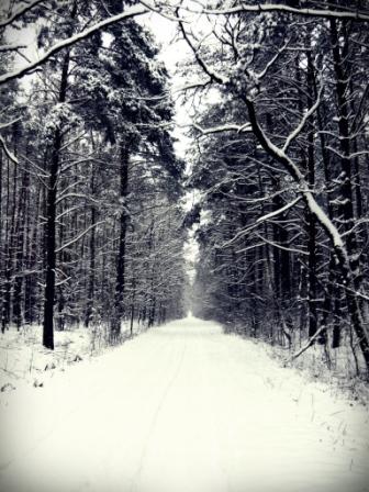 Kliknij na zdjęcie, żeby zobaczyć w pełnych wymiarach