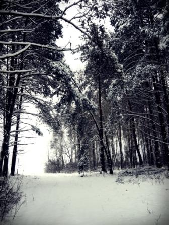 Kliknij na zdjęcie, żeby zobaczyć w pełnych wymiarach