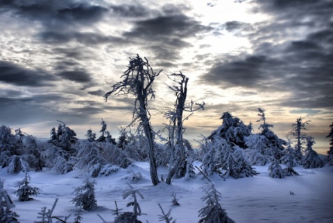 Kliknij na zdjęcie, żeby zobaczyć w pełnych wymiarach