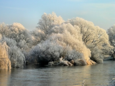 Kliknij na zdjęcie, żeby zobaczyć w pełnych wymiarach