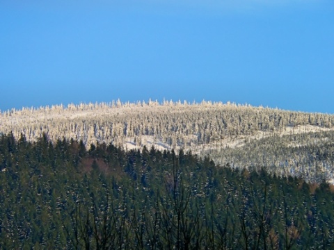 Kliknij na zdjęcie, żeby zobaczyć w pełnych wymiarach