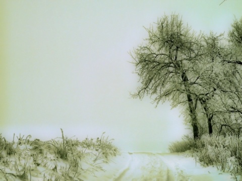 Kliknij na zdjęcie, żeby zobaczyć w pełnych wymiarach