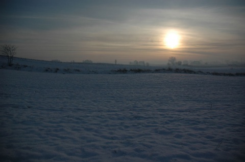 Kliknij na zdjęcie, żeby zobaczyć w pełnych wymiarach