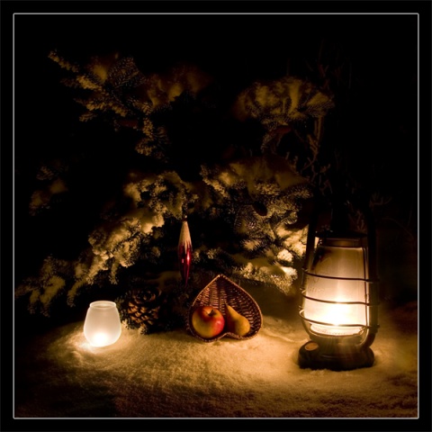 Kliknij na zdjęcie, żeby zobaczyć w pełnych wymiarach