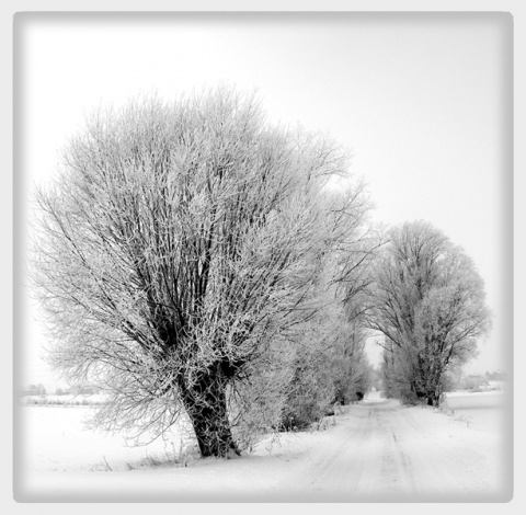Kliknij na zdjęcie, żeby zobaczyć w pełnych wymiarach