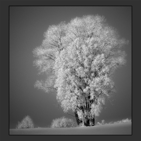 Kliknij na zdjęcie, żeby zobaczyć w pełnych wymiarach