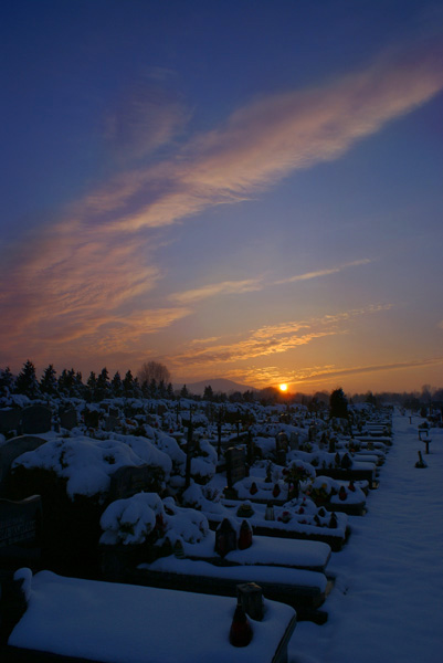 Kliknij na zdjęcie, żeby zobaczyć w pełnych wymiarach