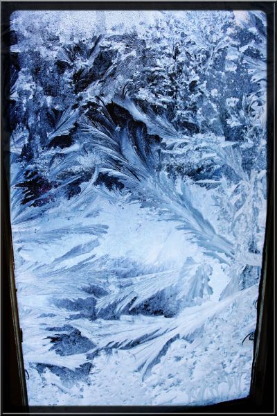 Kliknij na zdjęcie, żeby zobaczyć w pełnych wymiarach