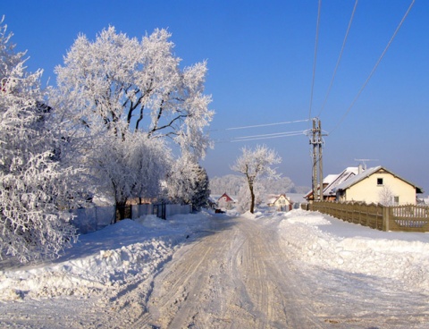 Kliknij na zdjęcie, żeby zobaczyć w pełnych wymiarach