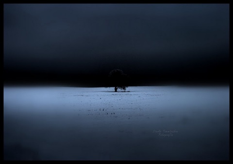 Kliknij na zdjęcie, żeby zobaczyć w pełnych wymiarach