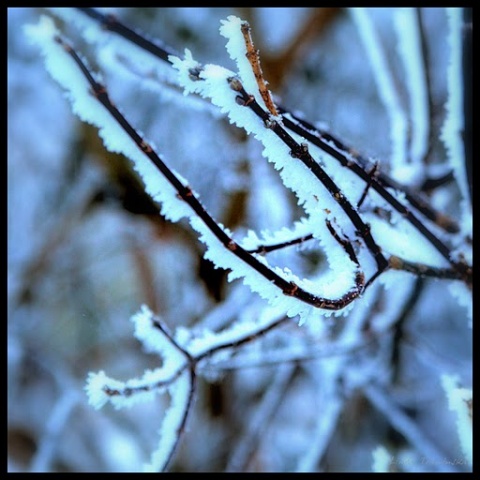 Kliknij na zdjęcie, żeby zobaczyć w pełnych wymiarach