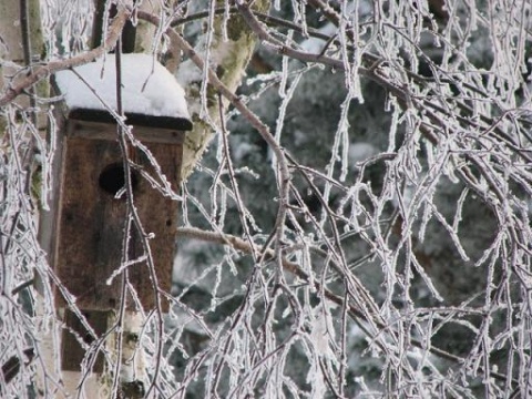 Kliknij na zdjęcie, żeby zobaczyć w pełnych wymiarach