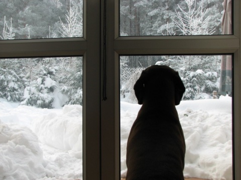 Kliknij na zdjęcie, żeby zobaczyć w pełnych wymiarach