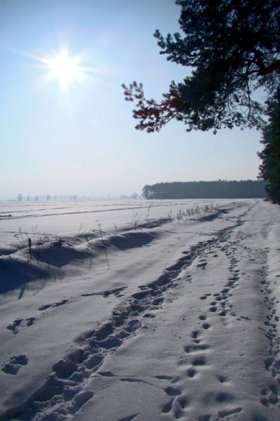 Kliknij na zdjęcie, żeby zobaczyć w pełnych wymiarach