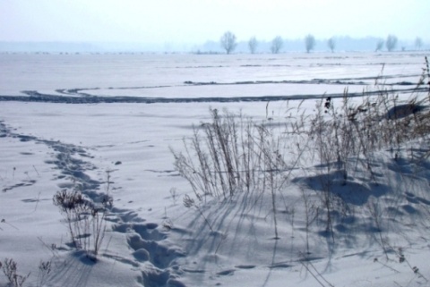 Kliknij na zdjęcie, żeby zobaczyć w pełnych wymiarach