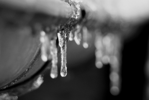 Kliknij na zdjęcie, żeby zobaczyć w pełnych wymiarach