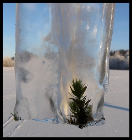 Kliknij na zdjęcie, żeby zobaczyć w pełnych wymiarach