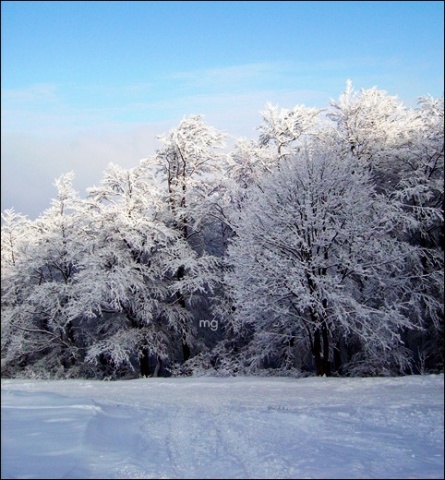 Kliknij na zdjęcie, żeby zobaczyć w pełnych wymiarach