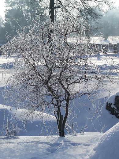 Kliknij na zdjęcie, żeby zobaczyć w pełnych wymiarach