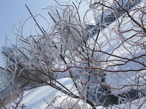 Kliknij na zdjęcie, żeby zobaczyć w pełnych wymiarach