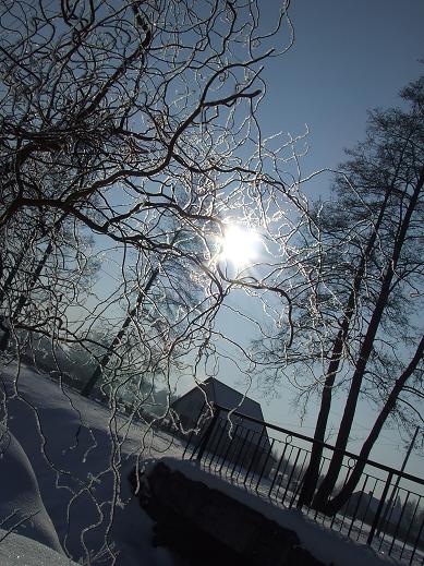 Kliknij na zdjęcie, żeby zobaczyć w pełnych wymiarach