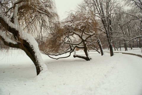 Kliknij na zdjęcie, żeby zobaczyć w pełnych wymiarach