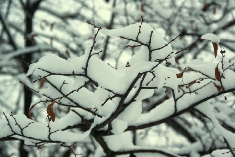 Kliknij na zdjęcie, żeby zobaczyć w pełnych wymiarach
