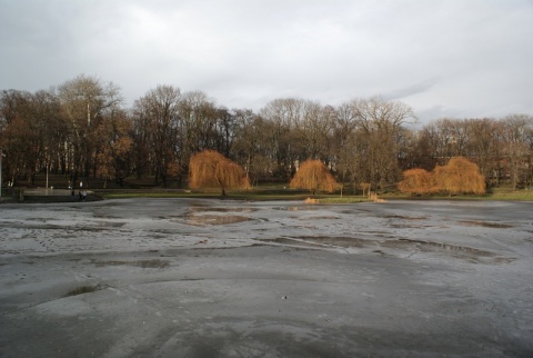 Kliknij na zdjęcie, żeby zobaczyć w pełnych wymiarach