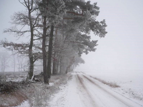 Kliknij na zdjęcie, żeby zobaczyć w pełnych wymiarach
