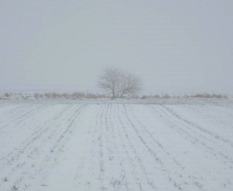 Kliknij na zdjęcie, żeby zobaczyć w pełnych wymiarach