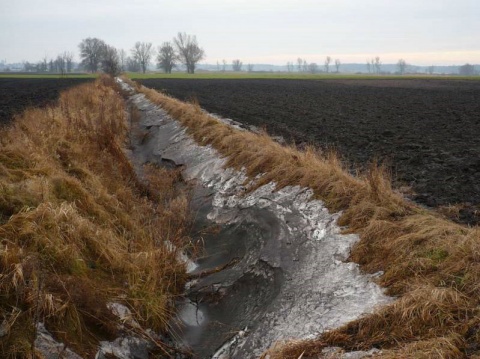 Kliknij na zdjęcie, żeby zobaczyć w pełnych wymiarach