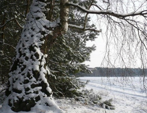 Kliknij na zdjęcie, żeby zobaczyć w pełnych wymiarach