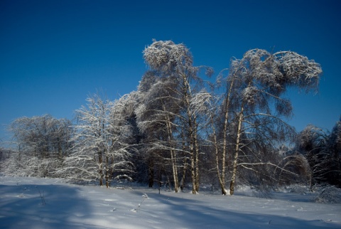 Kliknij na zdjęcie, żeby zobaczyć w pełnych wymiarach