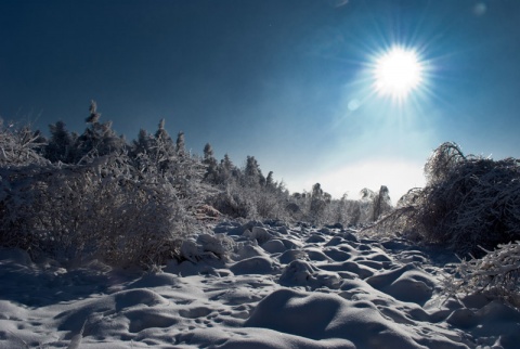 Kliknij na zdjęcie, żeby zobaczyć w pełnych wymiarach