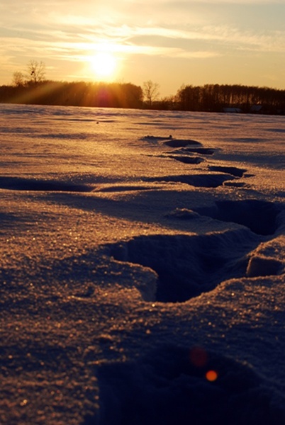 Kliknij na zdjęcie, żeby zobaczyć w pełnych wymiarach