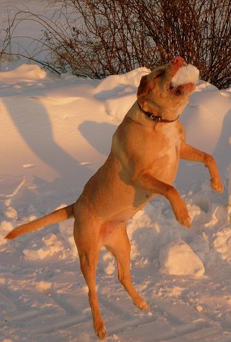 Kliknij na zdjęcie, żeby zobaczyć w pełnych wymiarach