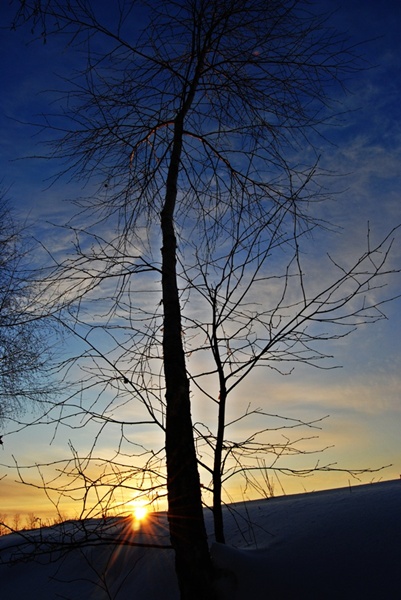 Kliknij na zdjęcie, żeby zobaczyć w pełnych wymiarach