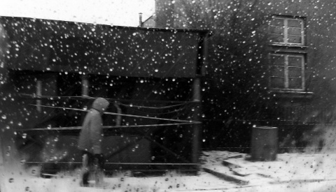 Kliknij na zdjęcie, żeby zobaczyć w pełnych wymiarach