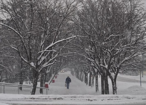 Kliknij na zdjęcie, żeby zobaczyć w pełnych wymiarach