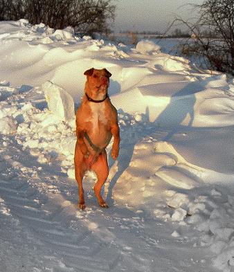 Kliknij na zdjęcie, żeby zobaczyć w pełnych wymiarach