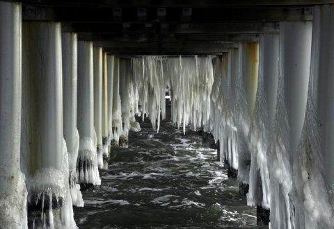 Kliknij na zdjęcie, żeby zobaczyć w pełnych wymiarach