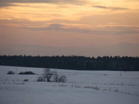Kliknij na zdjęcie, żeby zobaczyć w pełnych wymiarach
