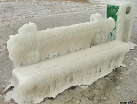 Kliknij na zdjęcie, żeby zobaczyć w pełnych wymiarach